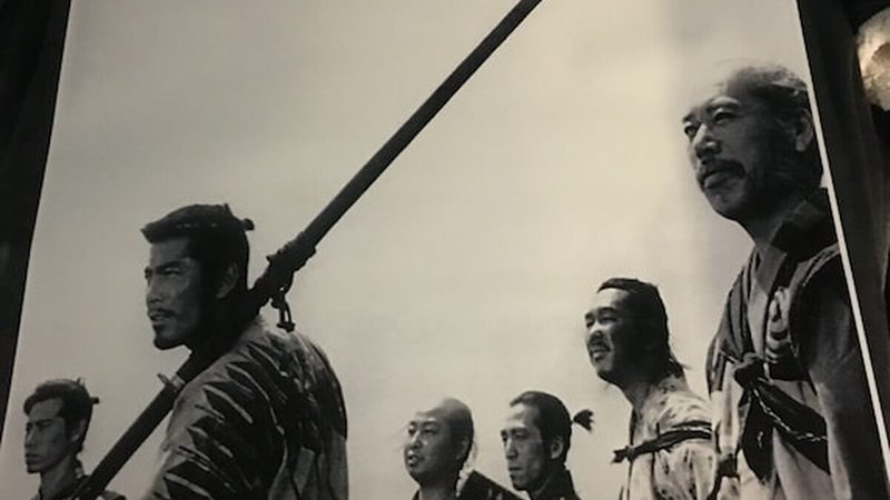 立体绿化中，这些藤本植物你了解吗？**
