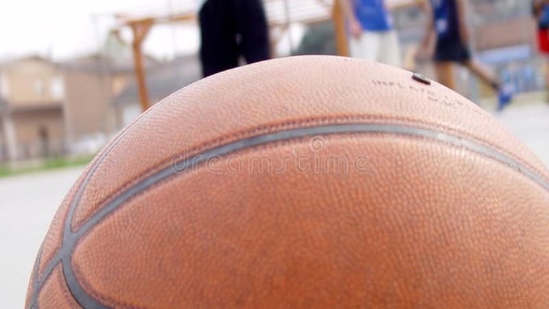园林绿化工程报价清单模板：编制要点与注意事项**