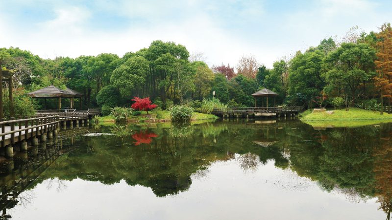 模块式植物墙：安装费用构成与优化策略