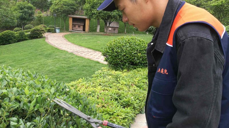 园林绿化资质办理，了解这些关键节点