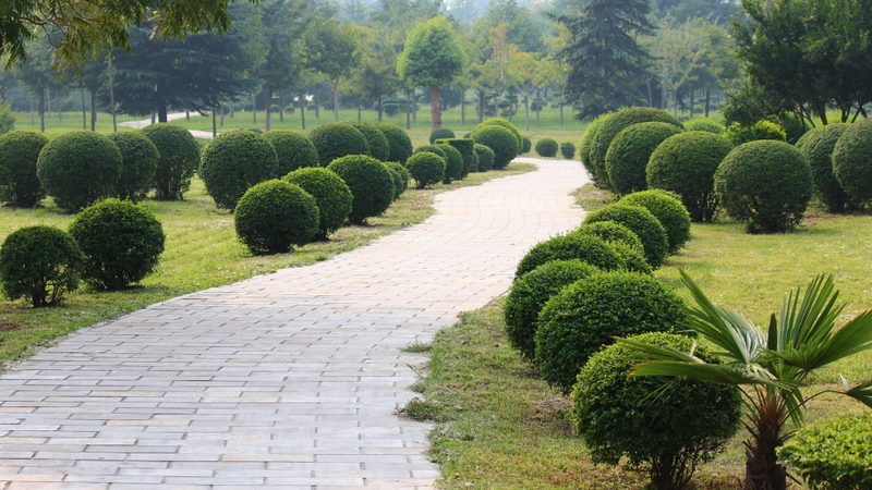 假山鱼池从设计到落地，这五个环节最容易出问题
