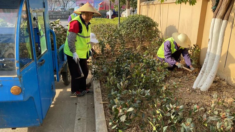 广州绿植租赁划算还是买划算