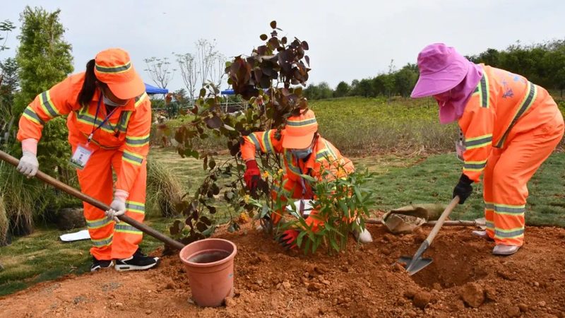 广州草坪养护与修剪：看似相近实则不同的两件事