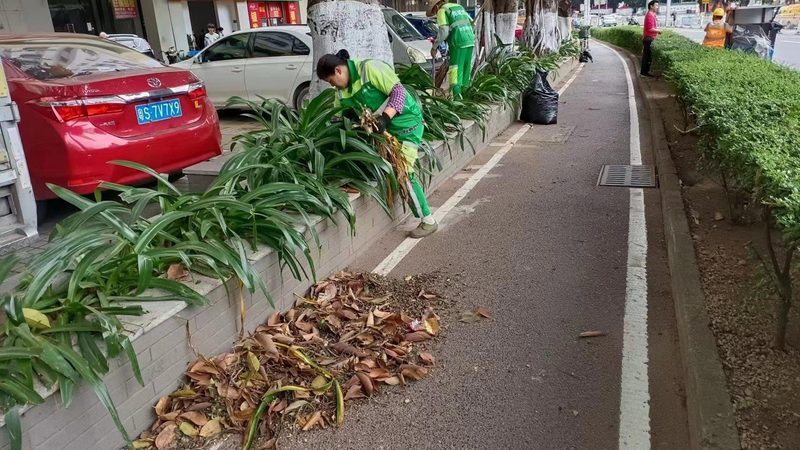 迷你庭院设计：打造私人绿色空间的秘密**