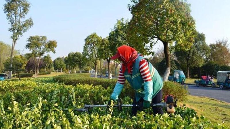 立体绿化灌溉系统：如何打造高效节水型园林**