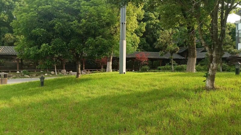 前院与后院景观：优缺点对比解析**